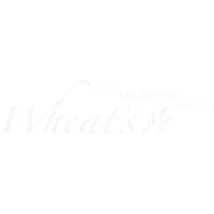 Wheats-Landscaping---Empodio-Portfolio
